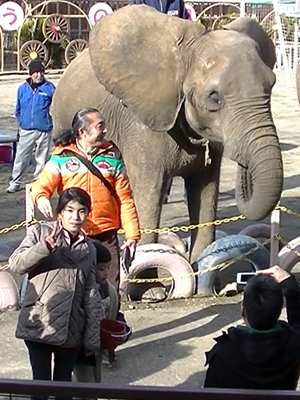 市原ぞうの国