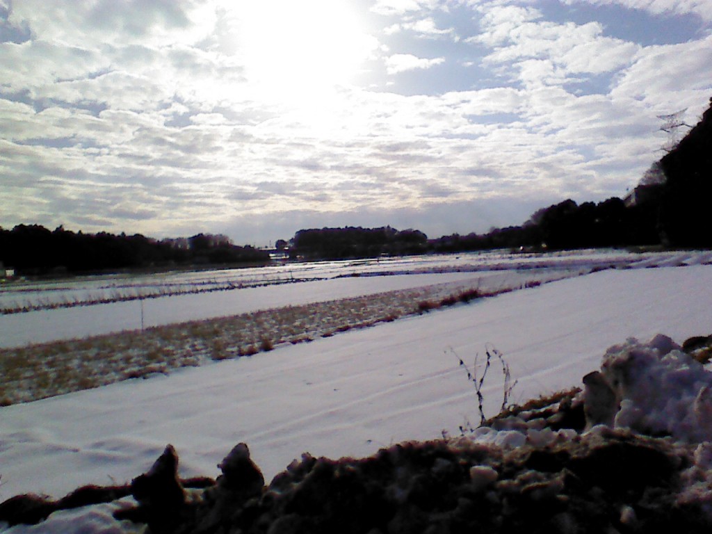 畑に積雪