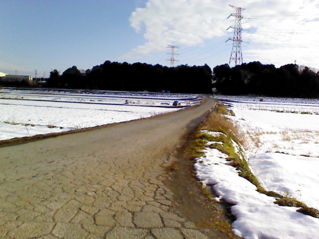 畑に積雪