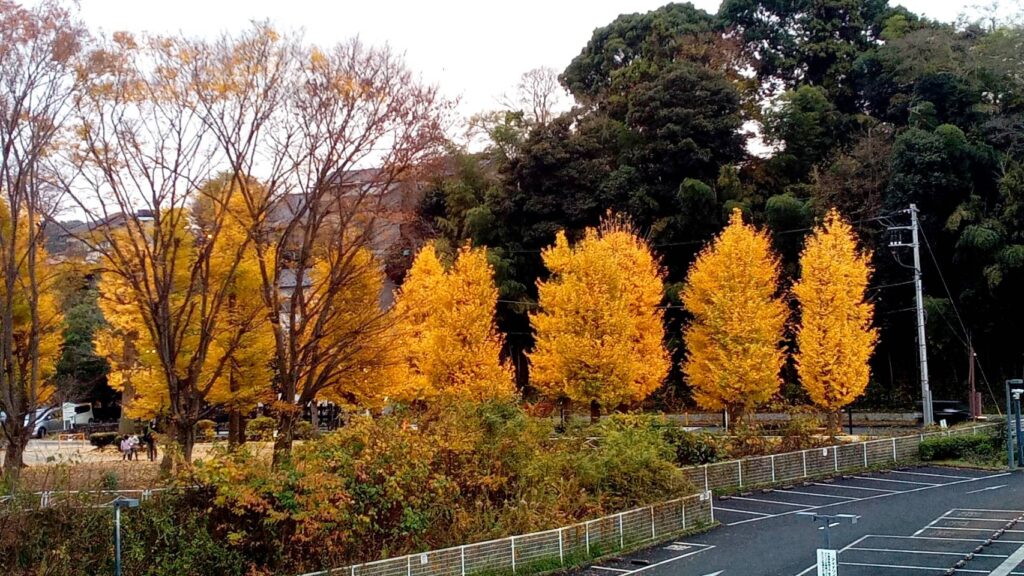 柏ふるさと公園